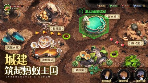 小小蚁国bilbili版 1.41.0 安卓版