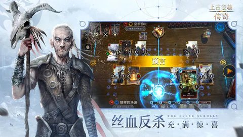 上古卷轴传奇bilibili版 1.0.0 安卓版