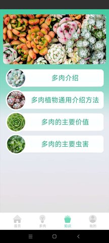 掌中百科App 0.1 安卓版