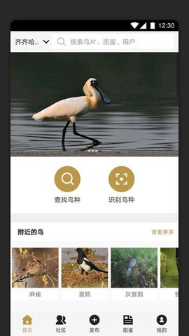 识鸟家App 1.4 安卓版