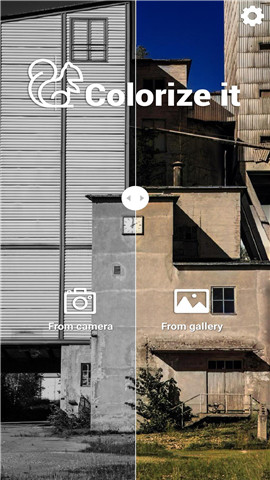 Colorize 4.0.50 安卓版