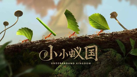 小小蚁国中文版 1.51.0 安卓版