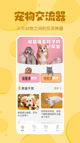 喵喵猫狗翻译器App 1.0 安卓版